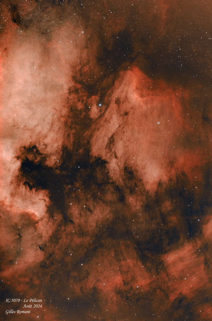 IC 5070 - "Le  Pélican"