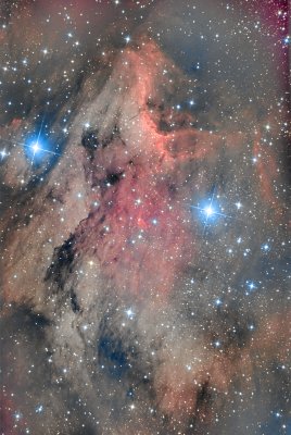 Nébuleuse du Pélican