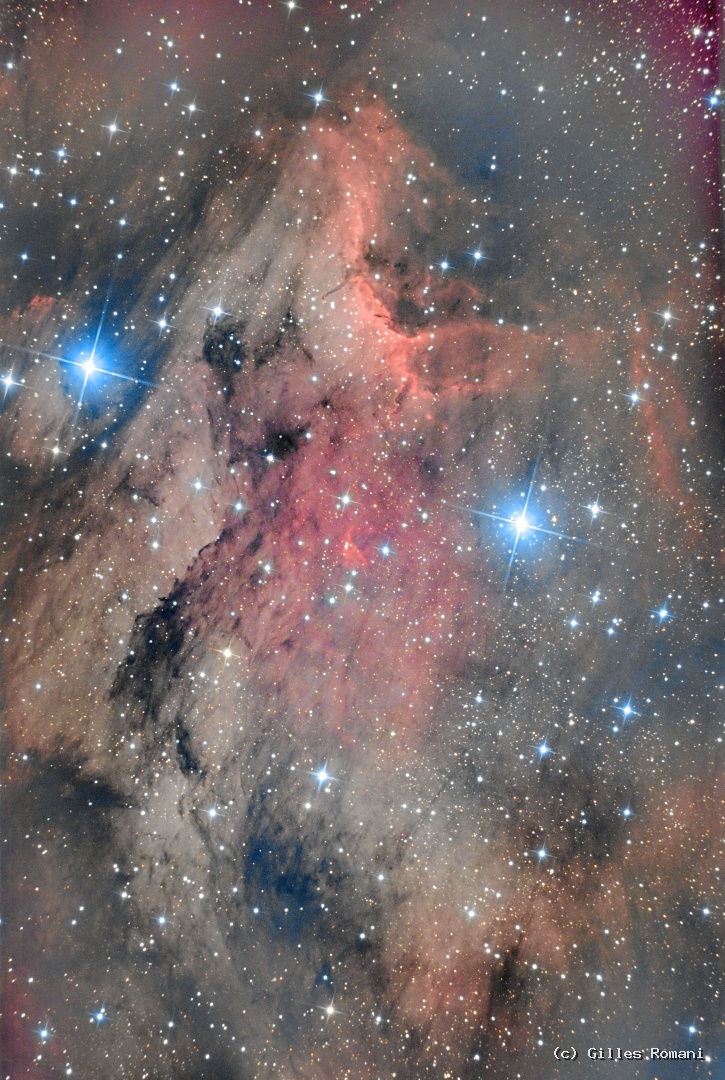 Nébuleuse du Pélican