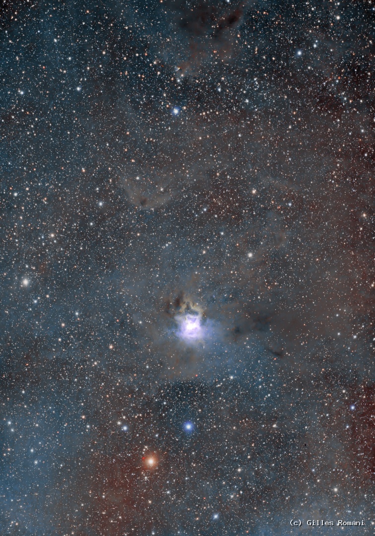 Nébuleuse de l'Iris - NGC 7023